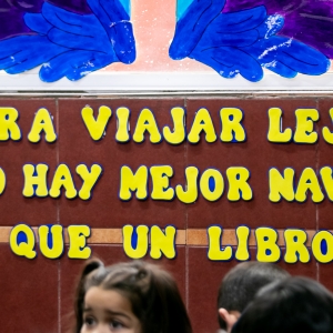 Día del Libro